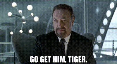 got him gif|go get em tiger gif.